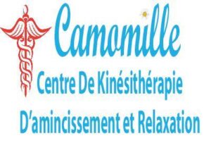 Lire la suite à propos de l’article Camomille